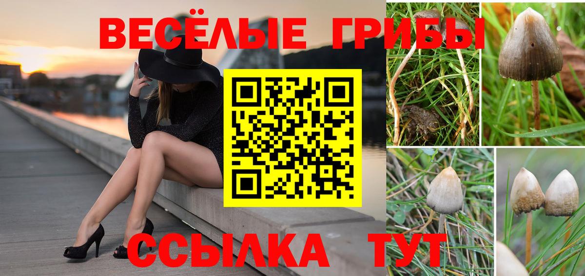 Йошкар-Ола  Псилоцибиновые грибы мухоморы  Вход с VPN 